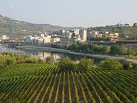 Portugal, Douro Kreuzfahrt, Regua