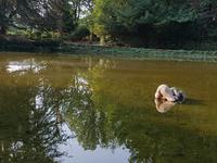 Portugal, Mateus, Palast