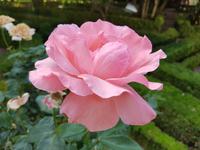 Portugal, Mateus, Palast