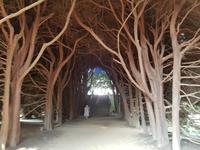 Portugal, Mateus, Palast