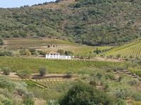 Portugal, Douro Kreuzfahrt