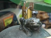 Portugal, Ausflug Salamanca/Spanien, Wahrzeichen Frosch