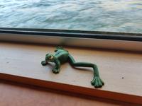 Portugal, Douro Kreuzfahrt, Frosch aus Salamanca