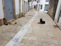 Portugal, Ausflug Portweinstrasse, Sao Joao de Pesqueira
