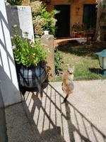 Portugal, Ausflug Portweinstrasse, Sao Joao de Pesqueira