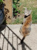 Portugal, Ausflug Portweinstrasse, Sao Joao de Pesqueira