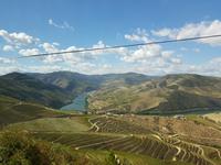 Portugal, Ausflug Portweinstrasse