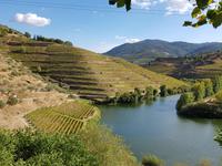 Portugal, Ausflug Portweinstrasse