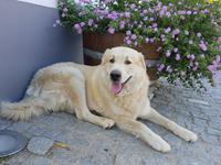 Portugal, Ausflug Portweinstrasse