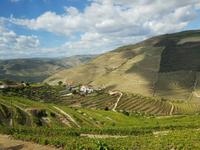 Portugal, Ausflug Portweinstrasse