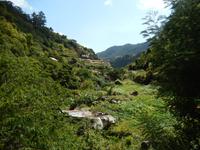 Levada von Marocos