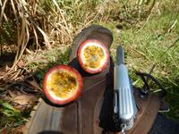 Perfekt ausgerüstet 