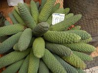 Unterschiedliche Preise