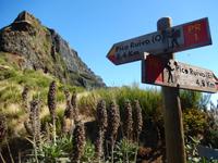 Wanderung vom Pico Arieiro zum Pico Ruivo