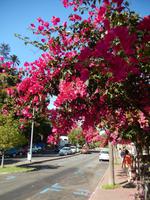 Ausflug in den Nordwesten Madeiras