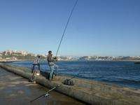 057-Stadtrundfahrt_Farol_de_Felgueiras