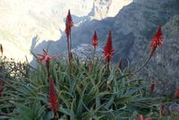 Blick ins Nonnental von Eira do Serrado