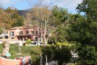 Im Tropischen Garten Monte Palace in Funchal