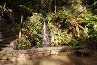 Im Tropischen Garten Monte Palace in Funchal