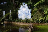 Im Tropischen Garten Monte Palace in Funchal