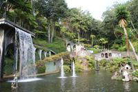 Im Tropischen Garten Monte Palace in Funchal