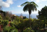 Im Tropischen Garten Monte Palace in Funchal