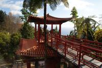 Im Tropischen Garten Monte Palace in Funchal