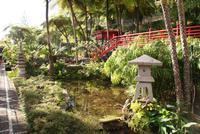 Im Tropischen Garten Monte Palace in Funchal