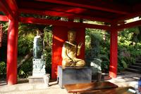 Im Tropischen Garten Monte Palace in Funchal