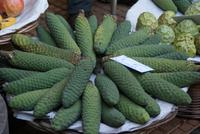 Die Ananas-Banane Frucht des Philodendron