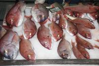 In der Fischhalle von Funchal