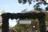 Der Weihnachtsmarkt Funchals