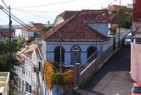 Blick vom Kräutergarten