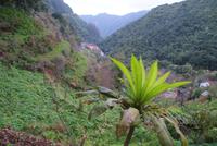 Levadawanderung zum Aussichtspunkt Balcoes