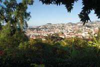 Blick aus dem Orchideengarten auf Funchal