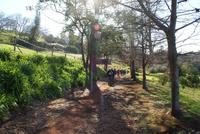 unterwegs in Blandy's Garden