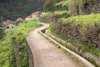 Levadawanderung am Neujahrstag von Marocos bis Machico