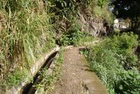 Levadawanderung am Neujahrstag von Marocos bis Machico