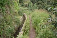 Levadawanderung am Neujahrstag von Marocos bis Machico