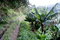 Levadawanderung am Neujahrstag von Marocos bis Machico