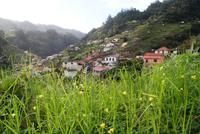 Levadawanderung am Neujahrstag von Marocos bis Machico