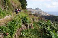 wunderschöne Levadawanderung am Neujahrstag