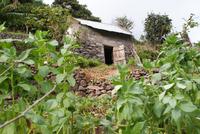 Levadawanderung am Neujahrstag von Marocos bis Machico