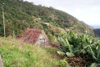 Levadawanderung am Neujahrstag von Marocos bis Machico