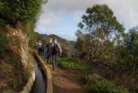 Levadawanderung am Neujahrstag von Marocos bis Machico