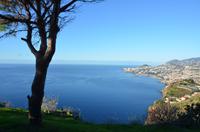 Blick auf die Bucht von Funchal
