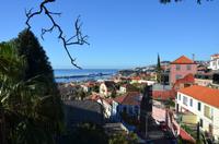 Blick auf Funchal