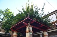 Markthalle von Funchal