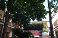 Markthalle von Funchal