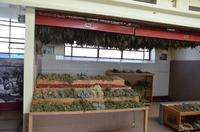 Kräuterstand in der Markthalle von Funchal